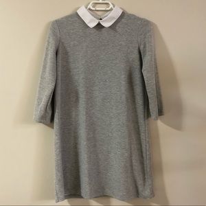 Zara Gray Collar Dress